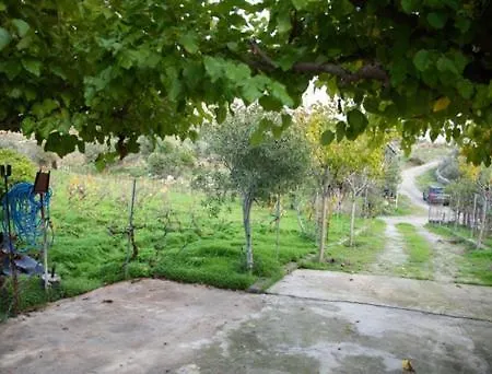 Vineyard Vathis Semesterbostad