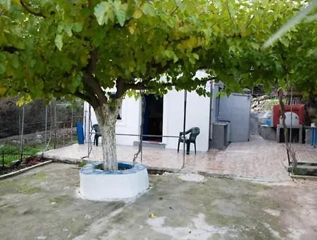 Vineyard Vathis * Kálymnos
