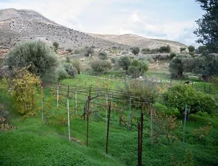 Vineyard Vathis Kálymnos
